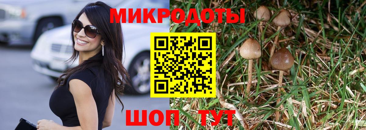 Псилоцибиновые грибы Psilocybine cubensis  купить наркоту  Галлюциногенные грибы Psilocybine cubensis  Алапаевск  Вход с VPN 